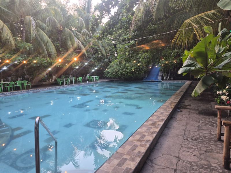 Swimming pool with blue water shaded by a palm-frond roof